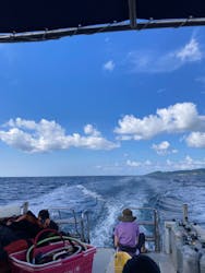 DivingService SUNNY SUNNY(ダイビングサービスサニーサニー)に投稿された画像(2024/10/13)