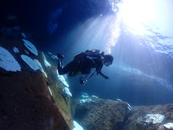 クリオネダイバーズに投稿された画像(2024/10/13)