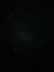 ピッキオ知床に投稿された画像(2024/10/25)