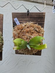 Aki's Gardenに投稿された画像(2024/10/26)