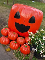 やくらいガーデンに投稿された画像(2024/10/26)