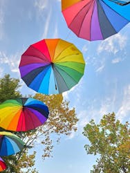 やくらいガーデンに投稿された画像(2024/10/26)