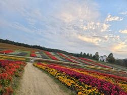 やくらいガーデンに投稿された画像(2024/10/26)