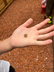 ストーンハンター伊勢志摩に投稿された画像(2024/10/28)