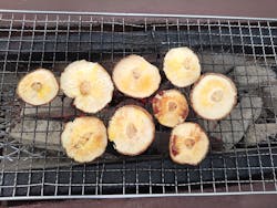 修善寺しいたけの里に投稿された画像(2024/11/2)