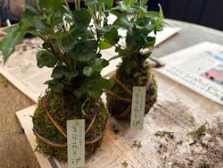 株式会社花工房に投稿された画像(2024/11/4)