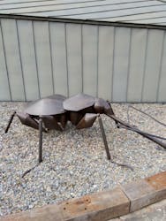 清流の国 ⽂化探訪 「南⾶騨 Art Discovery」〜イベントは終了しました〜に投稿された画像(2024/11/5)