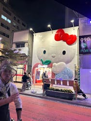 人力車のえびす屋 浅草店に投稿された画像(2024/11/9)