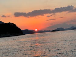 大三島クルーズに投稿された画像(2024/11/12)