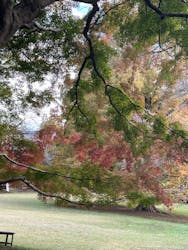 清水公園 アクアベンチャーに投稿された画像(2024/11/18)