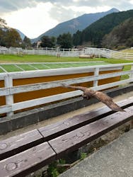 神崎農村公園ヨーデルの森に投稿された画像(2024/11/22)