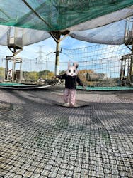 空中冒険遊具あみ~ご!に投稿された画像(2024/11/25)