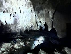 ウワーガージャングルに投稿された画像(2024/12/4)