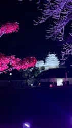 姫路城ライトアップイベント 鏡花水月 @姫路城三の丸広場に投稿された画像(2024/12/12)