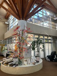 道の駅うつのみや ろまんちっく村 湯処あぐりに投稿された画像(2024/12/22)