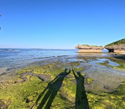 ちーりーに投稿された画像(2024/12/25)