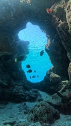 ちーりーに投稿された画像(2024/12/25)