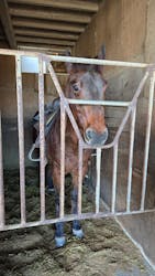 SUNSHINE STABLESに投稿された画像(2024/12/30)