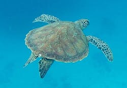 JAM(ジャム)マリンクラブに投稿された画像(2025/1/3)