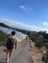 樋の口園に投稿された画像(2025/1/3)