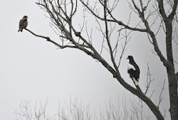 East powerに投稿された画像(2025/1/4)