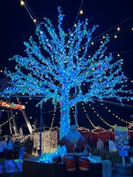 フェスタ・ルーチェに投稿された画像(2025/1/13)