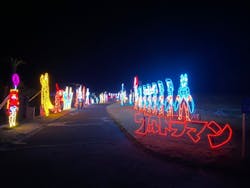 鹿児島イルミナージュに投稿された画像(2025/1/15)