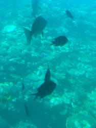 ウエストマリンに投稿された画像(2025/1/18)