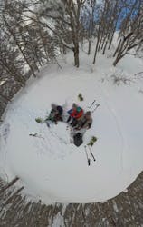 twin tree(ツインツリー)に投稿された画像(2025/1/23)