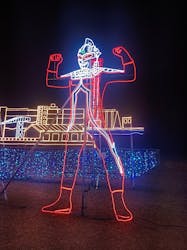 鹿児島イルミナージュに投稿された画像(2025/1/24)