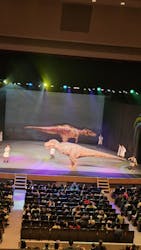 恐竜ラボ!キング・オブ・ハンターズ from DINO-A-LIVE 宇都宮公演に投稿された画像(2025/2/1)