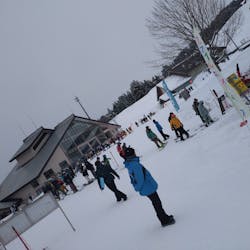 キューピットバレイに投稿された画像(2025/2/2)