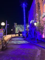 フェスタ・ルーチェに投稿された画像(2025/2/11)