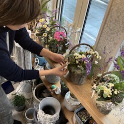 leaf&flower Scent of Gardeniaに投稿された画像(2025/2/17)