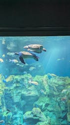 男鹿水族館GAOに投稿された画像(2025/2/25)