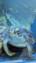 男鹿水族館GAOに投稿された画像(2025/2/25)