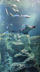 男鹿水族館GAOに投稿された画像(2025/2/25)