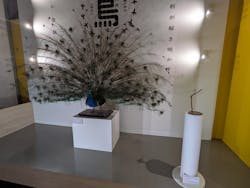 特別展「鳥 ~ゲノム解析が解き明かす新しい鳥類の系統~」国立科学博物館に投稿された画像(2025/3/2)
