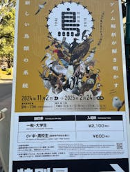 特別展「鳥 ~ゲノム解析が解き明かす新しい鳥類の系統~」国立科学博物館に投稿された画像(2025/3/2)