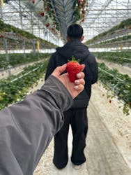 井上寅雄農園に投稿された画像(2025/3/3)