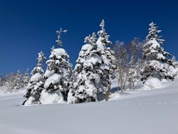 雫石スキーリゾートエリア連絡協議会に投稿された画像(2025/3/9)