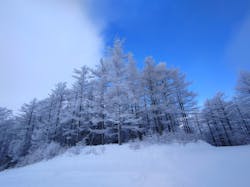 湯の丸スキー場に投稿された画像(2025/3/9)