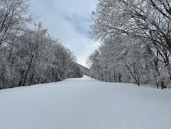 タングラムスキーサーカスに投稿された画像(2025/3/10)