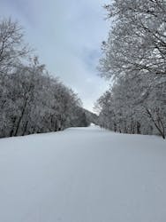 タングラムスキーサーカスに投稿された画像(2025/3/10)