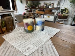 SEASON(シーズン)に投稿された画像(2025/3/28)