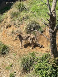 九十九島動植物園森きららに投稿された画像(2025/3/29)