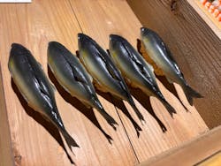 特別展「和食~日本の自然、人々の知恵~」に投稿された画像(2025/3/29)