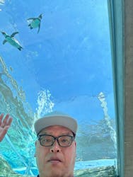 九十九島動植物園森きららに投稿された画像(2025/3/31)