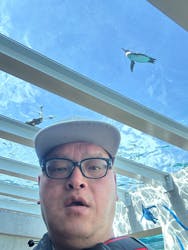 九十九島動植物園森きららに投稿された画像(2025/3/31)