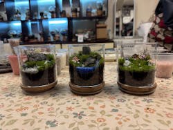 カルチャースクールいろはに投稿された画像(2025/4/1)